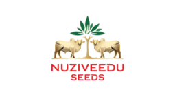 nuziveedu seeds