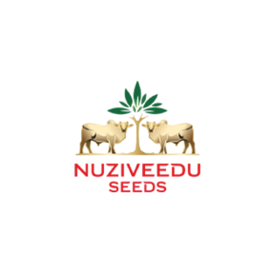 Nuziveedu logo